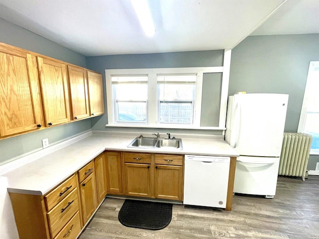 kitchen featuring sink, white appliances, radiator heating unit, and hardwood / wood-style floors