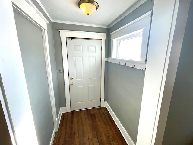 entryway featuring crown molding and dark hardwood / wood-style flooring