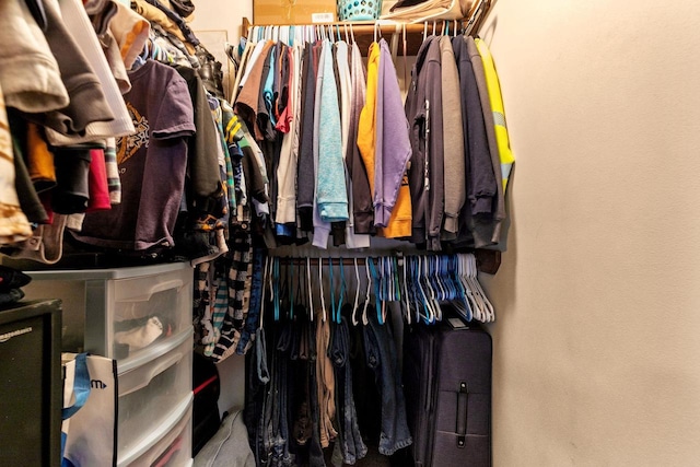 view of spacious closet