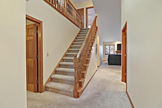 stairway featuring carpet