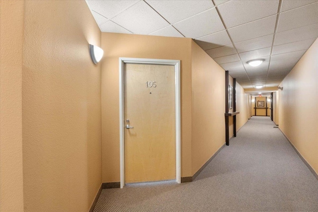 hallway featuring a paneled ceiling and light colored carpet