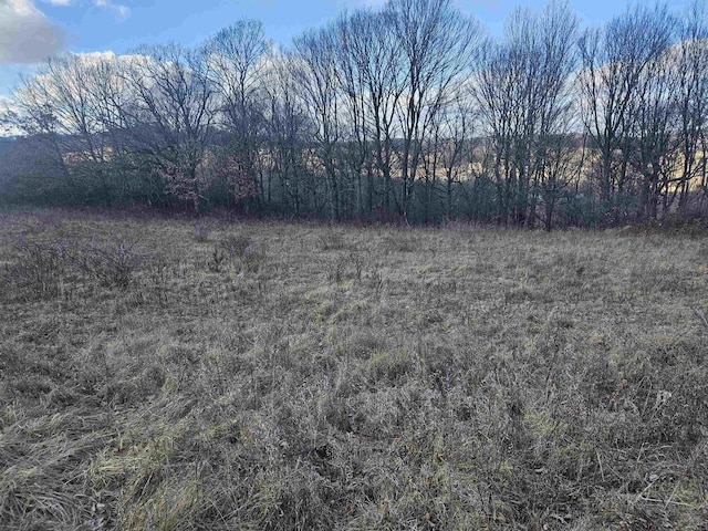 Listing photo 2 for LOT954 Hidden Springs Ct, La Valle WI 53941