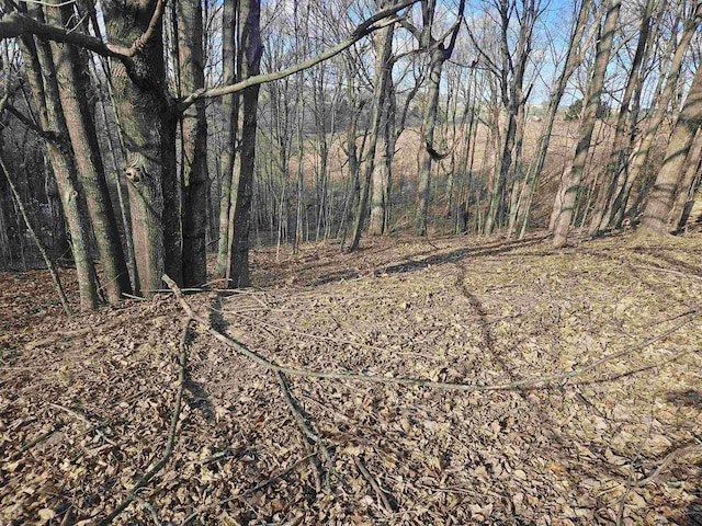 Listing photo 3 for LOT954 Hidden Springs Ct, La Valle WI 53941