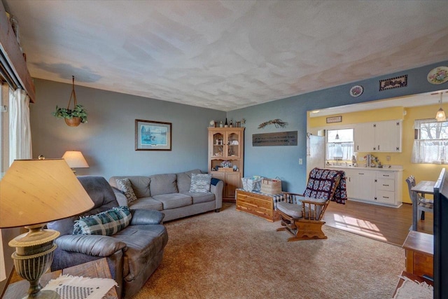 living room featuring a textured ceiling and light wood-type flooring