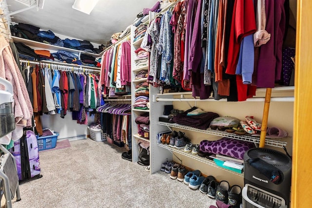 walk in closet with carpet floors