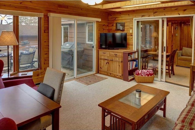 living room featuring carpet floors and wood walls