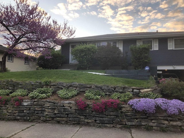 view of front of house with a yard