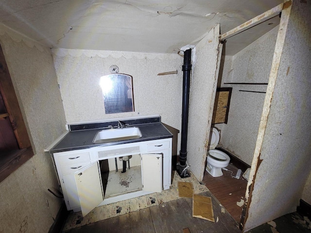 bathroom with vanity, hardwood / wood-style flooring, and toilet