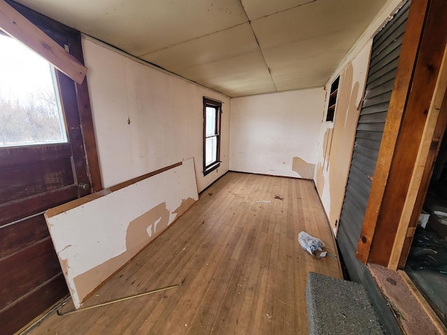 interior space featuring a healthy amount of sunlight and wood-type flooring