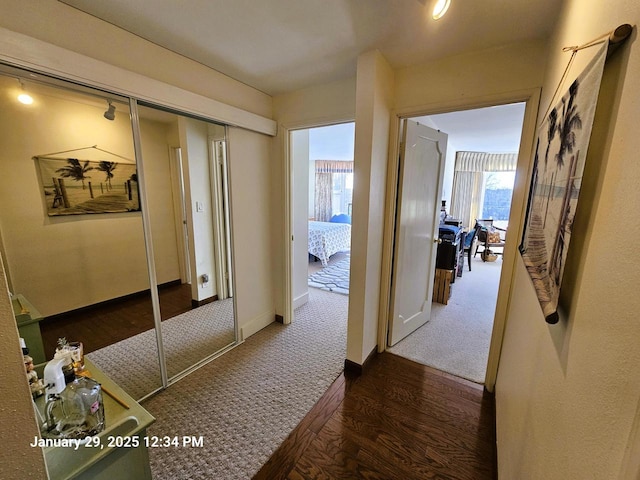 hall with a wealth of natural light and dark hardwood / wood-style flooring