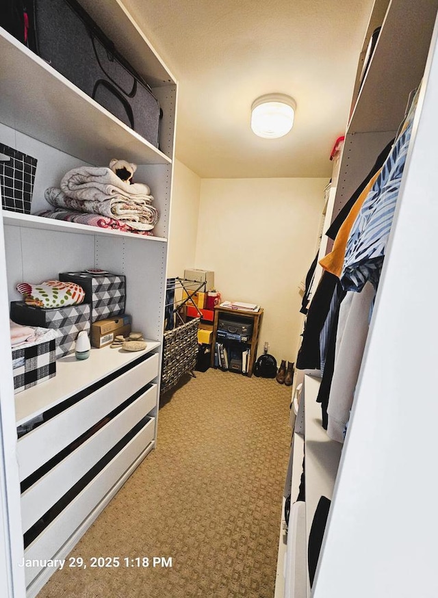 walk in closet featuring carpet flooring