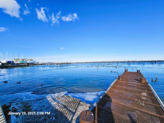 dock area featuring a water view