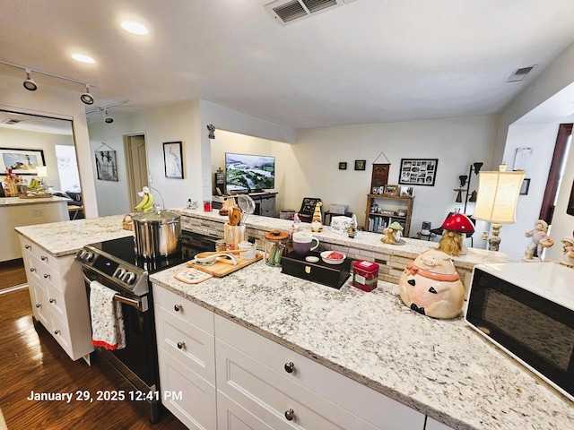 kitchen with white cabinetry, light stone counters, range with electric stovetop, and dark hardwood / wood-style floors