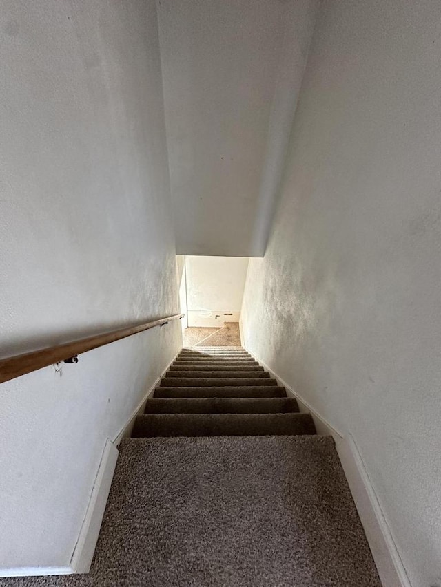 staircase with carpet floors