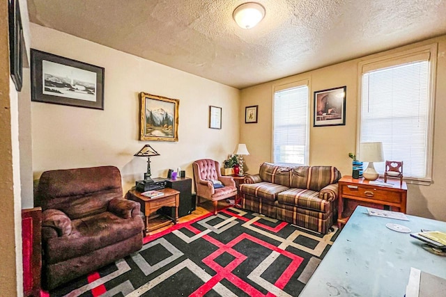 living room featuring a textured ceiling