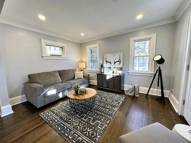 living room with crown molding and dark hardwood / wood-style floors