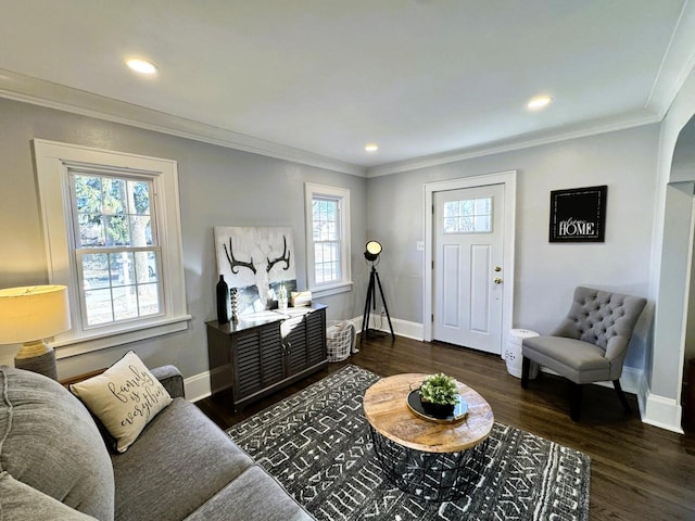 living room featuring crown molding, a wealth of natural light, and dark hardwood / wood-style flooring