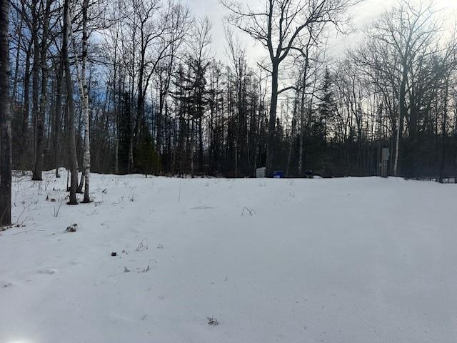 8878E Tom Green Rd, Solon Springs WI, 54873 land for sale