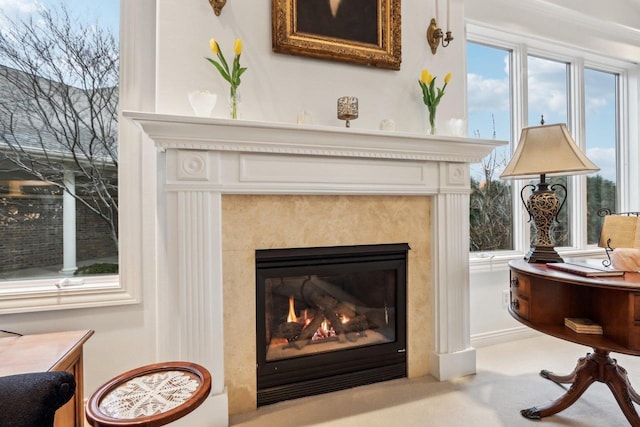 interior details with carpet floors