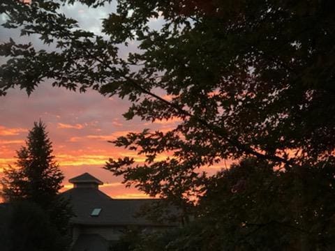 view of nature at dusk