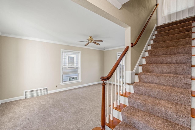 stairway with ornamental molding, carpet, and ceiling fan