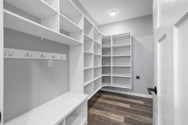 walk in closet featuring dark hardwood / wood-style floors