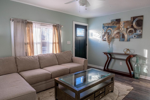 living room featuring ceiling fan and hardwood / wood-style floors