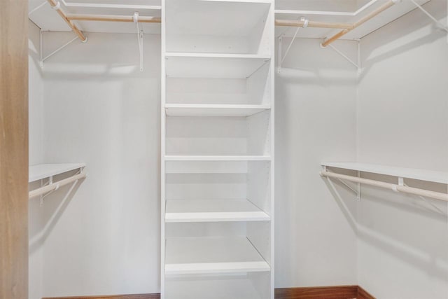 view of spacious closet