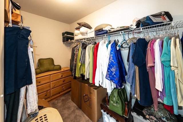 spacious closet with dark carpet