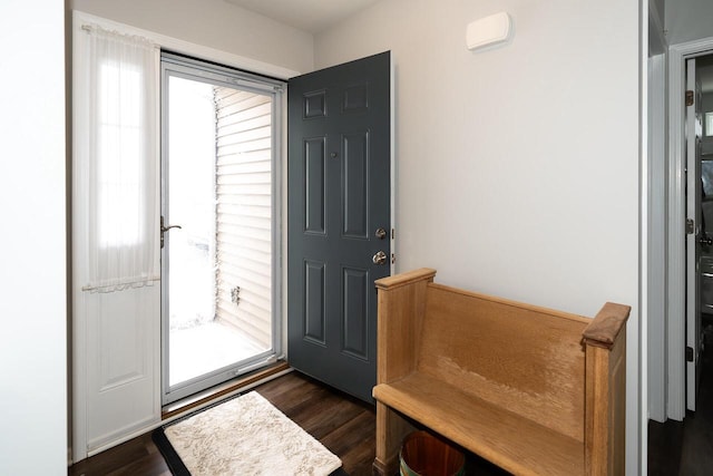 foyer featuring plenty of natural light and dark wood-type flooring