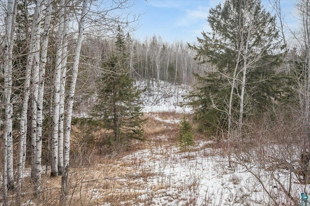 view of snow covered land