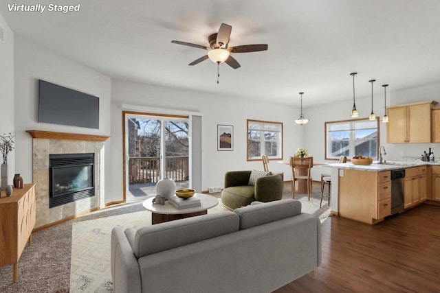 living room with ceiling fan, a fireplace, dark hardwood / wood-style flooring, and sink