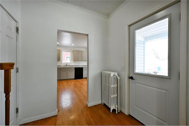 hall featuring sink, radiator heating unit, light hardwood / wood-style floors, and ornamental molding