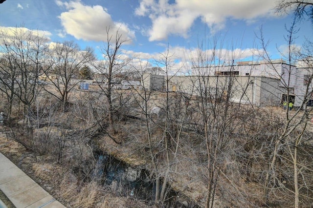 view of local wilderness