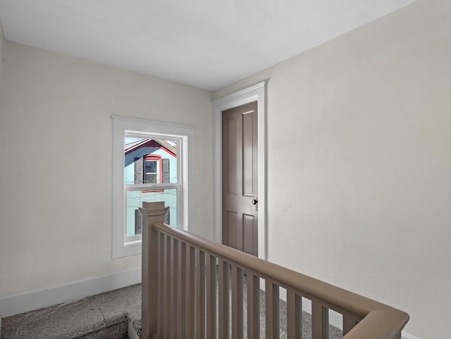 hallway with carpet