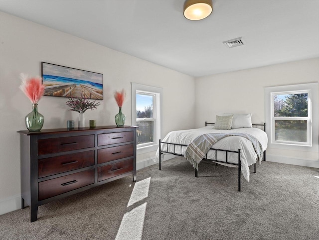 bedroom with carpet and multiple windows