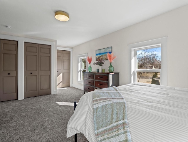 carpeted bedroom with two closets