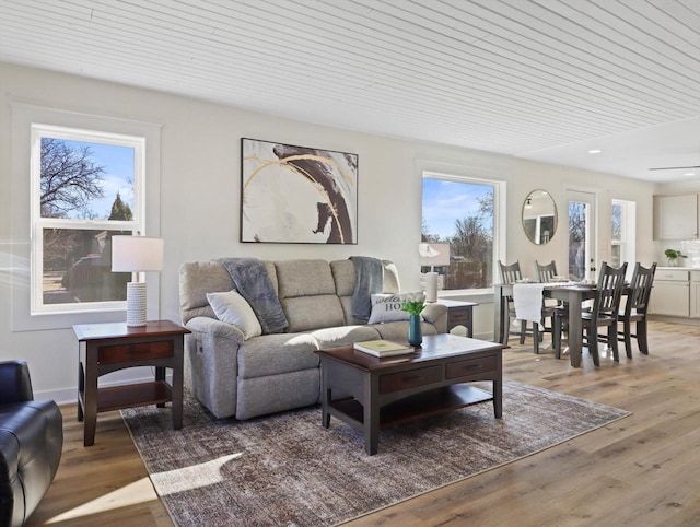 living room featuring light wood-type flooring