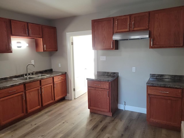 kitchen with sink and light hardwood / wood-style flooring