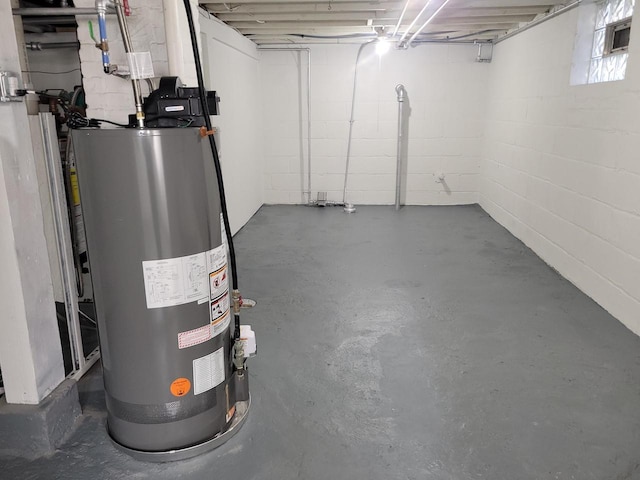 basement featuring gas water heater