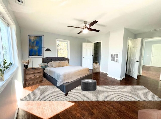 bedroom featuring a walk in closet, dark hardwood / wood-style floors, and ceiling fan