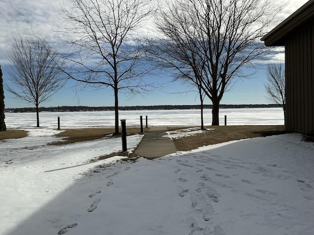 view of snowy yard