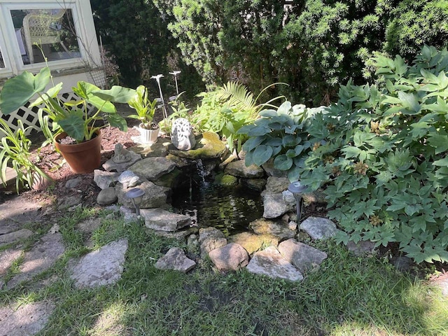 view of yard featuring a small pond