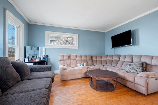 living room featuring light hardwood / wood-style flooring, crown molding, and plenty of natural light