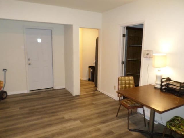 foyer with dark wood-type flooring