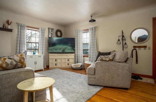 living room with hardwood / wood-style flooring