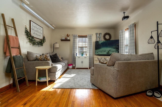 living room with hardwood / wood-style floors