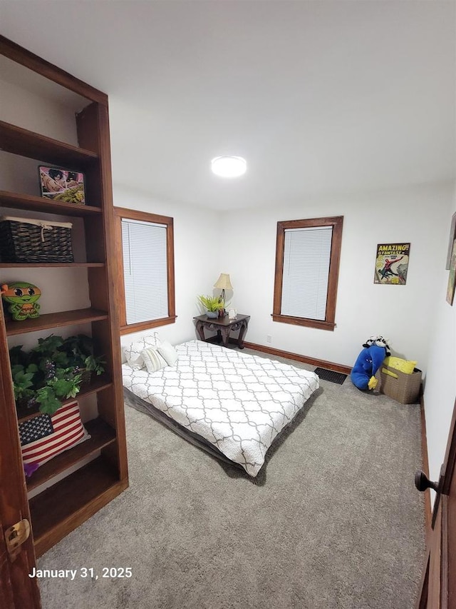 bedroom with carpet flooring