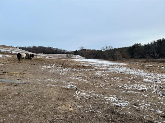 view of yard featuring a rural view