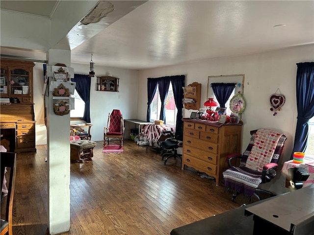 interior space featuring hardwood / wood-style flooring